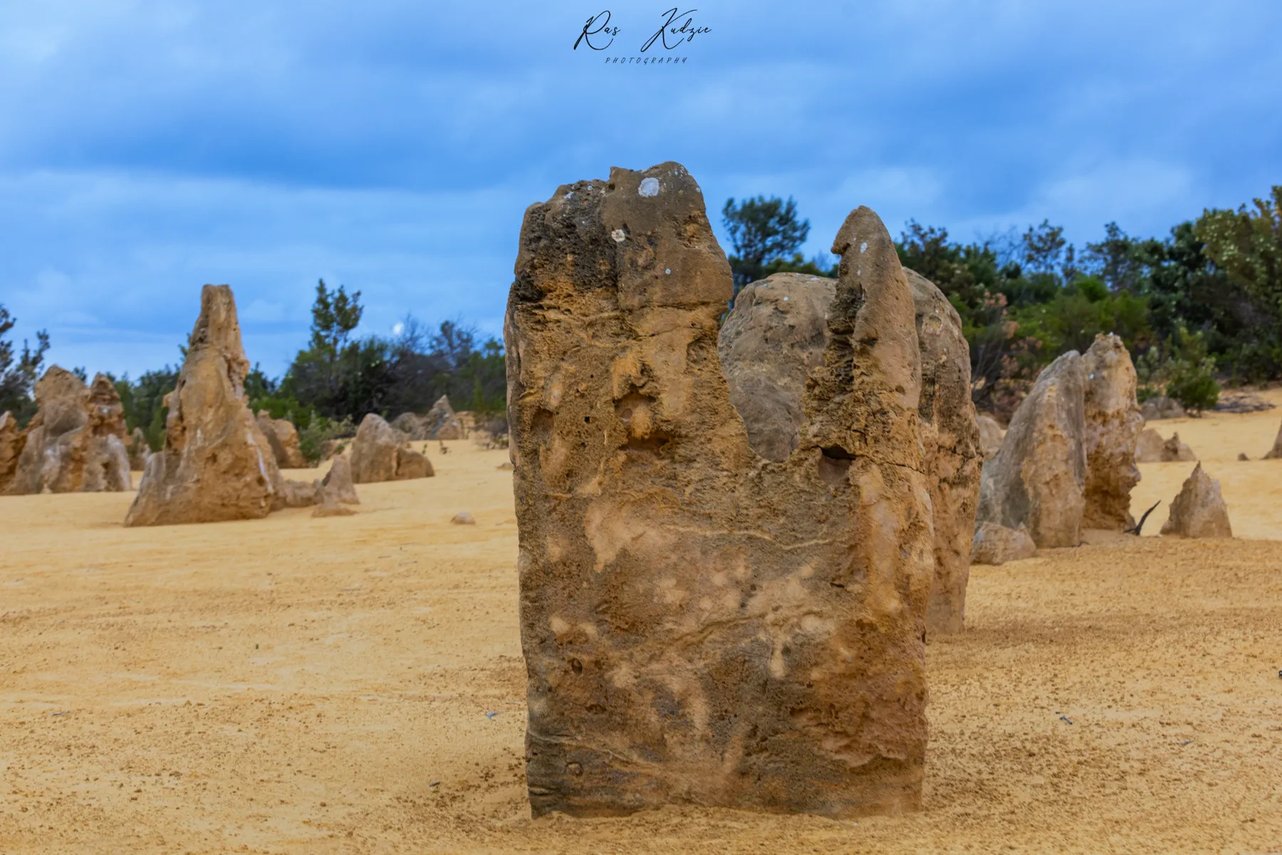 Weathered limestone formations rising from the sand at the Pinnacles