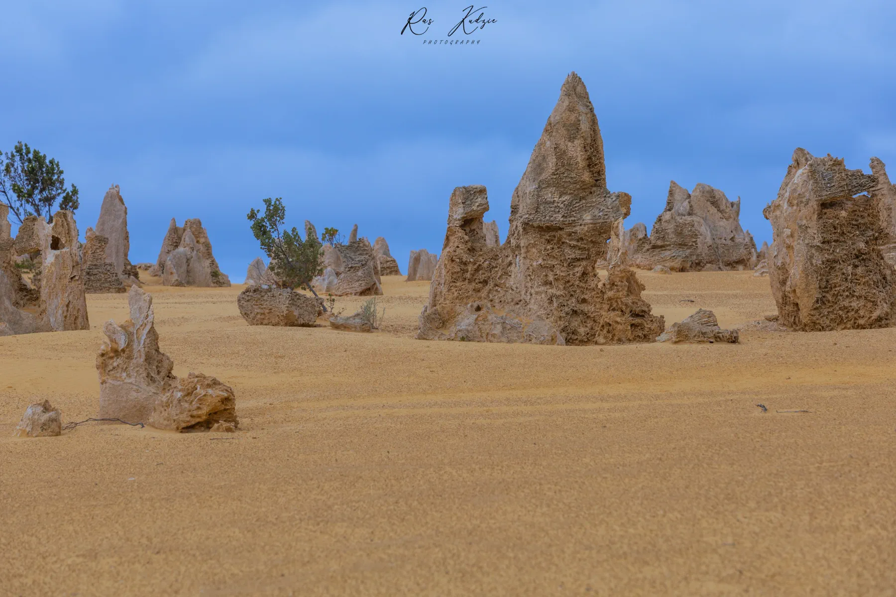 A wide landscape of the Pinnacles beneath a deep blue sky
