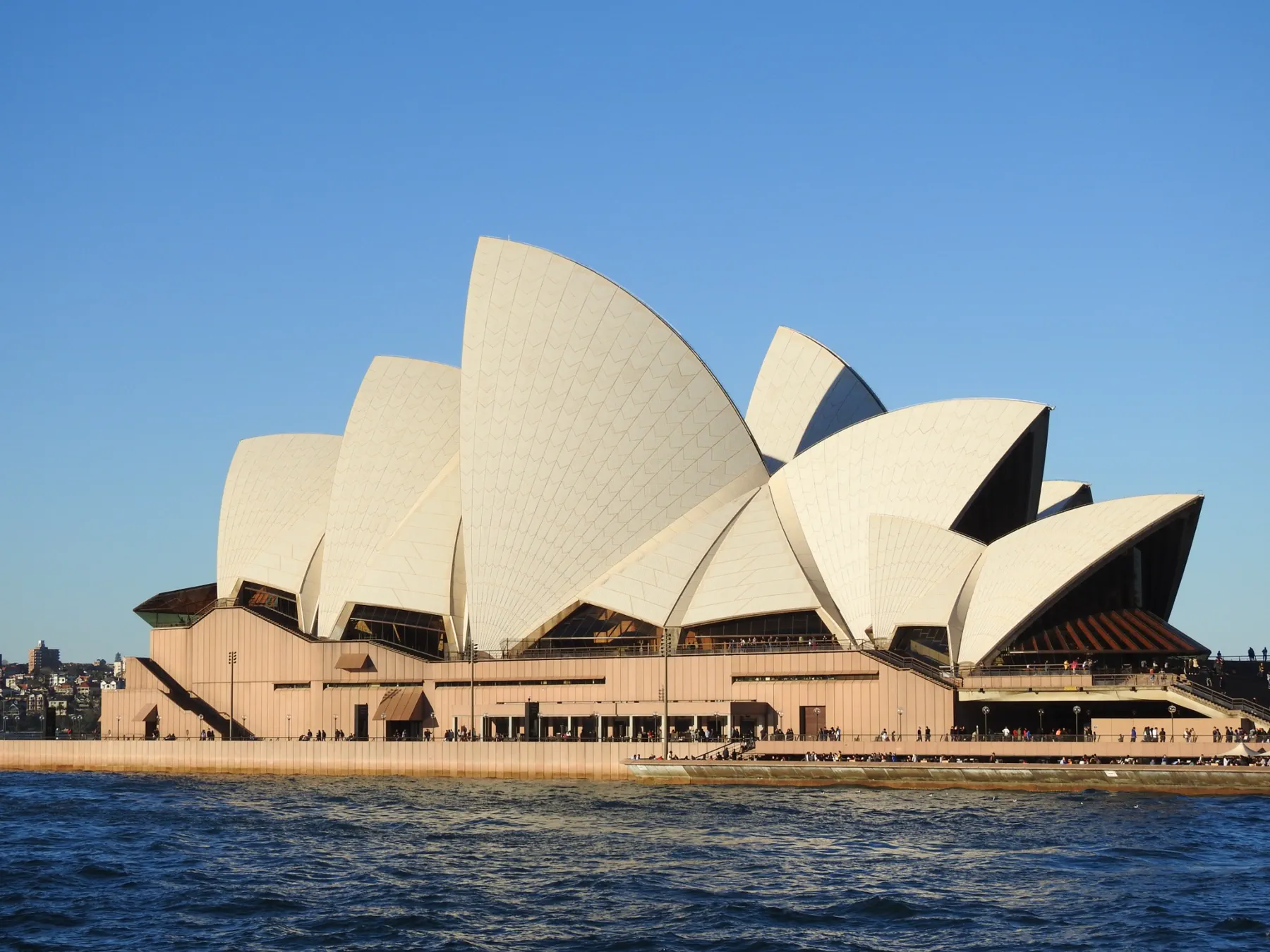 The sculptural sails of the Sydney Opera House above the harbour