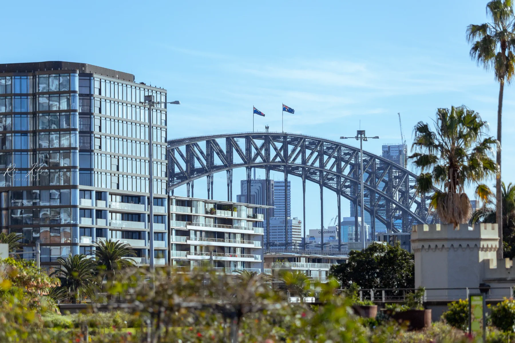 The Sydney Harbour Bridge framed by city buildings and palm trees in daylight